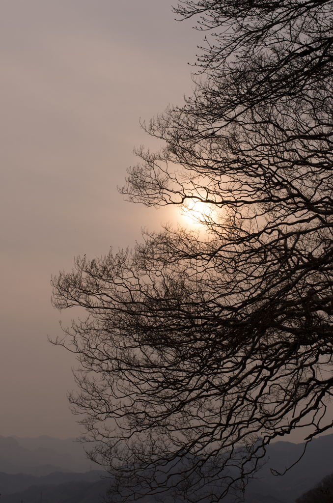心配ないさー♪