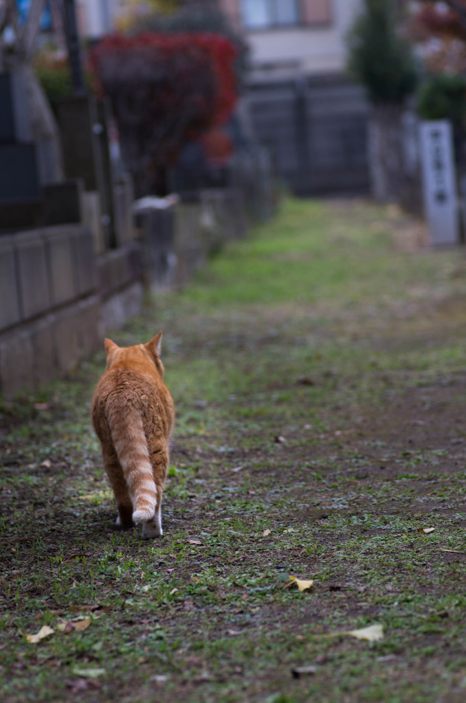 ぼっち