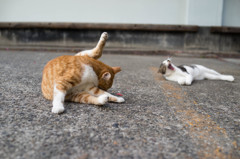 くつろぎ