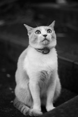 「うっ後ろ…！」