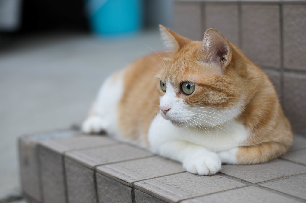 どんと見据えて