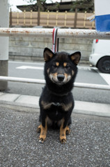 「事務所を通し…あっ」