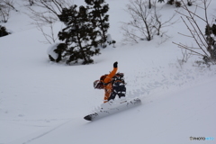 湿雪の森