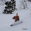 湿雪の森
