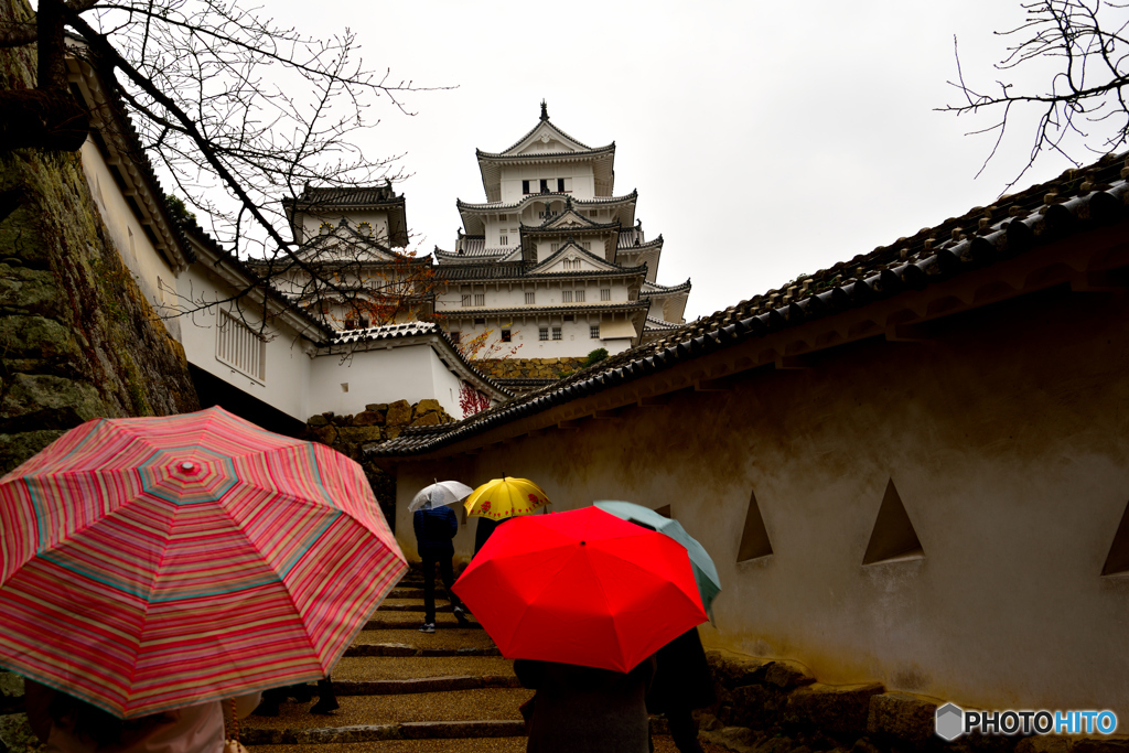 雨の姫路城