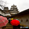 雨の姫路城