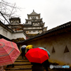 雨の姫路城