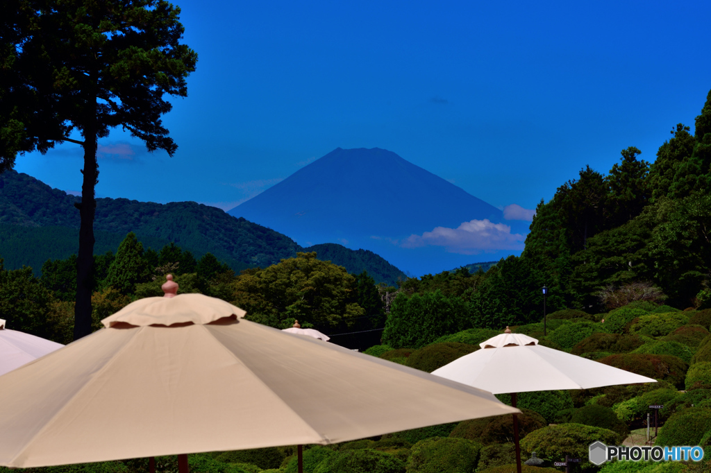 パラソルが沢山