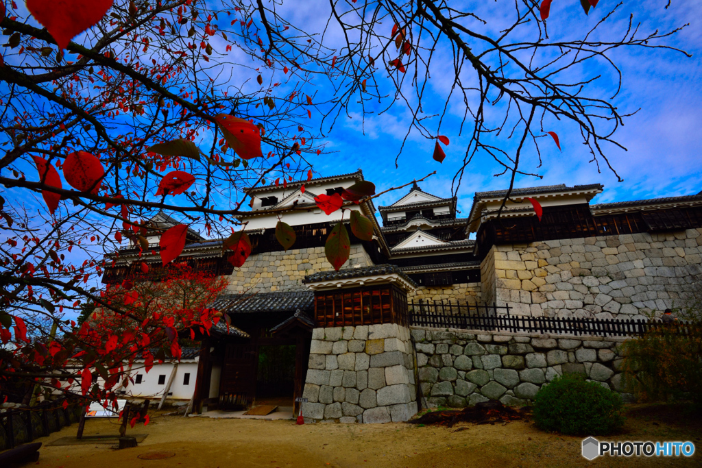 紅葉と松山城