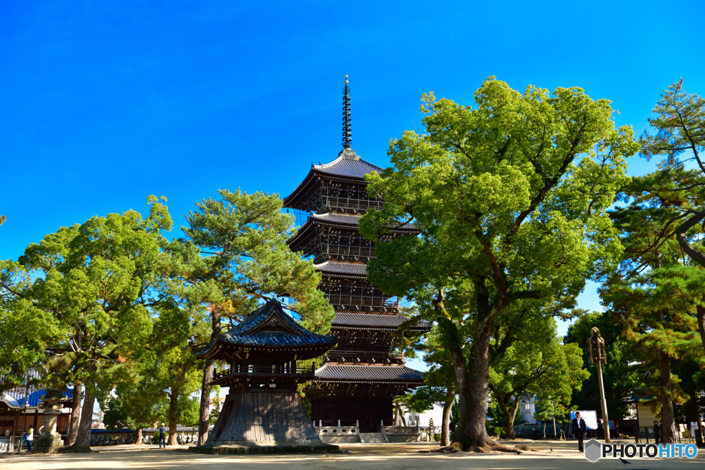 善通寺　五重塔