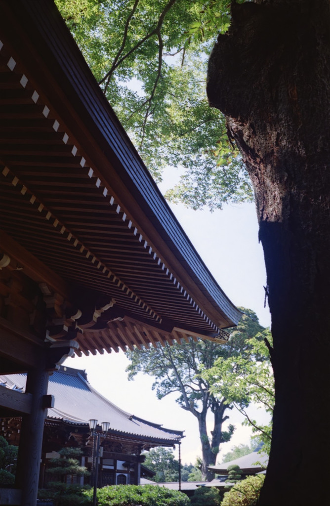 寺院の入り口から