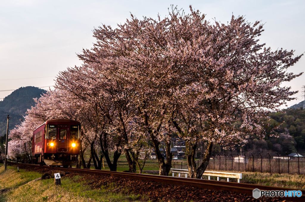 I love 長良川鉄道