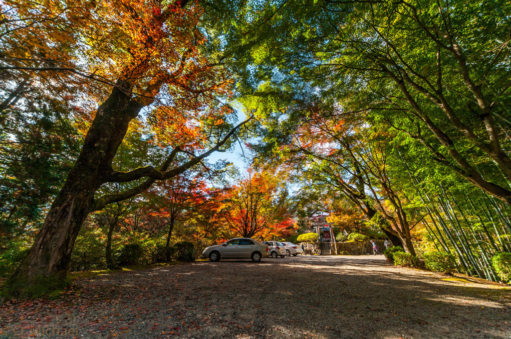 2015/11/24 延算寺 ③