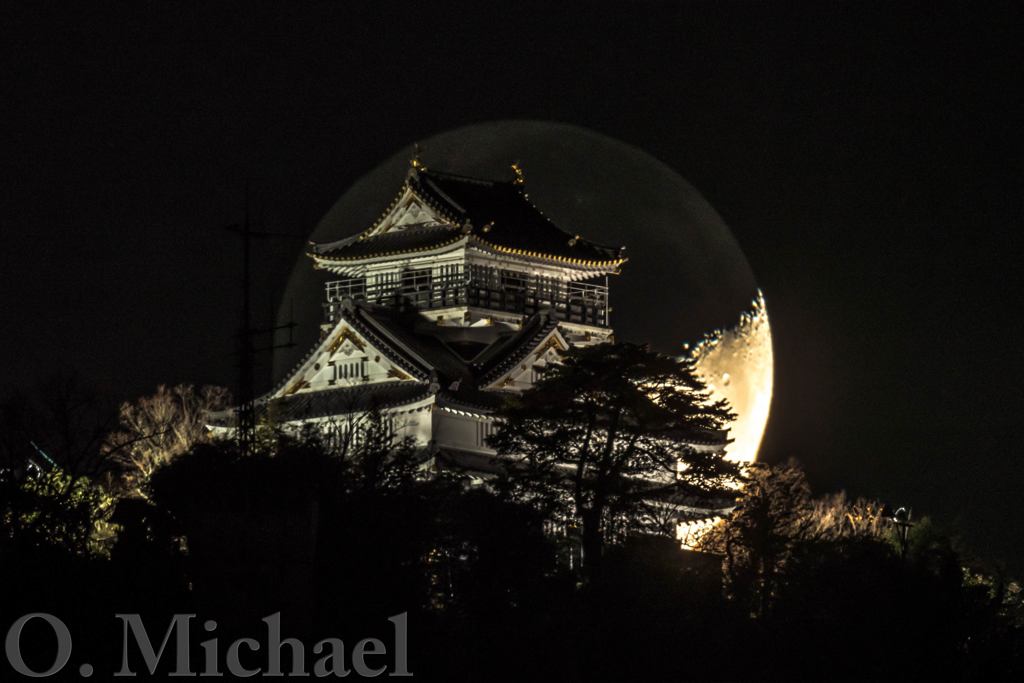 月狩り③