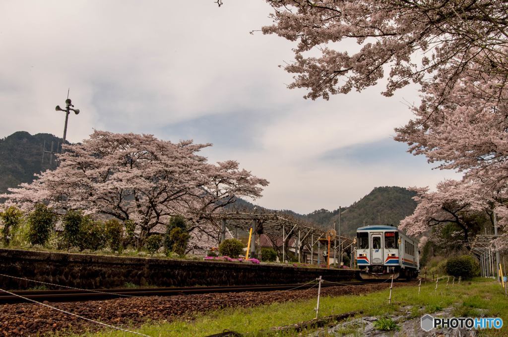 花咲く駅舎⑪