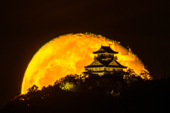 １７夜の月とお城②