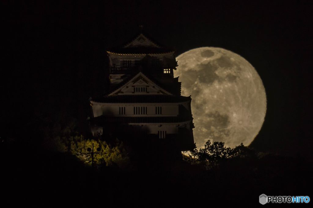 満月と城②