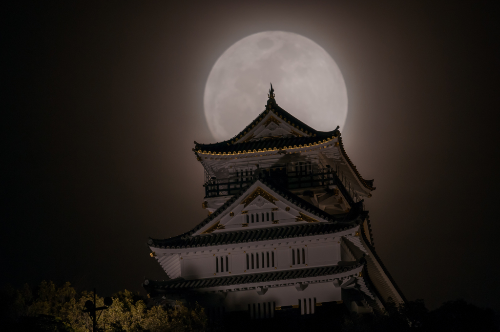 おぼろ月夜の岐阜城