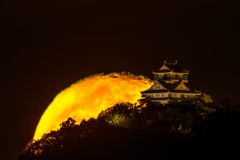 １７夜の月とお城①