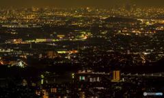 撮影地の夜景