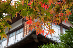 2015/11/14 延算寺 ①