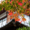 2015/11/14 延算寺 ①