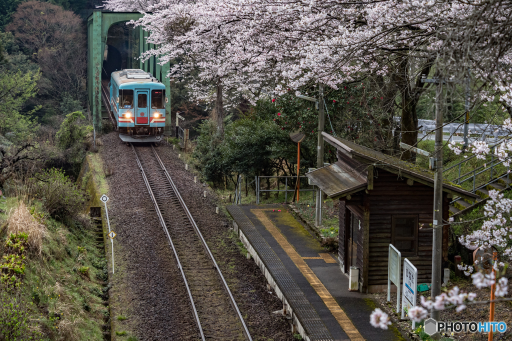 花咲く駅舎③