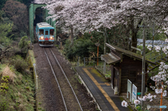 花咲く駅舎③