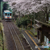 花咲く駅舎③