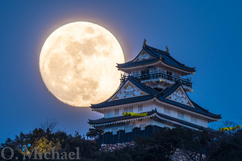 月狩り④