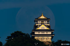 月と城