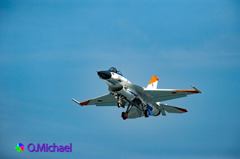 2015/10/10 JASDF Gifu Airbase ③