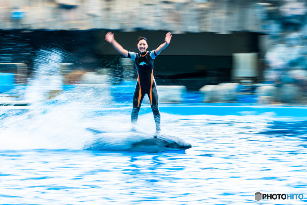 名古屋港水族館にて⑥