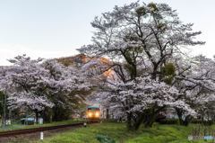 花咲く駅舎⑦