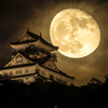 １７夜の月とお城⑦