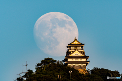 月を待ち伏せ②