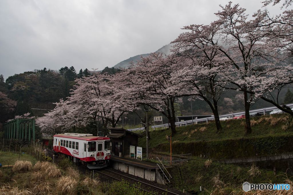 花咲く駅舎②