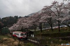 花咲く駅舎②