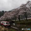 花咲く駅舎②