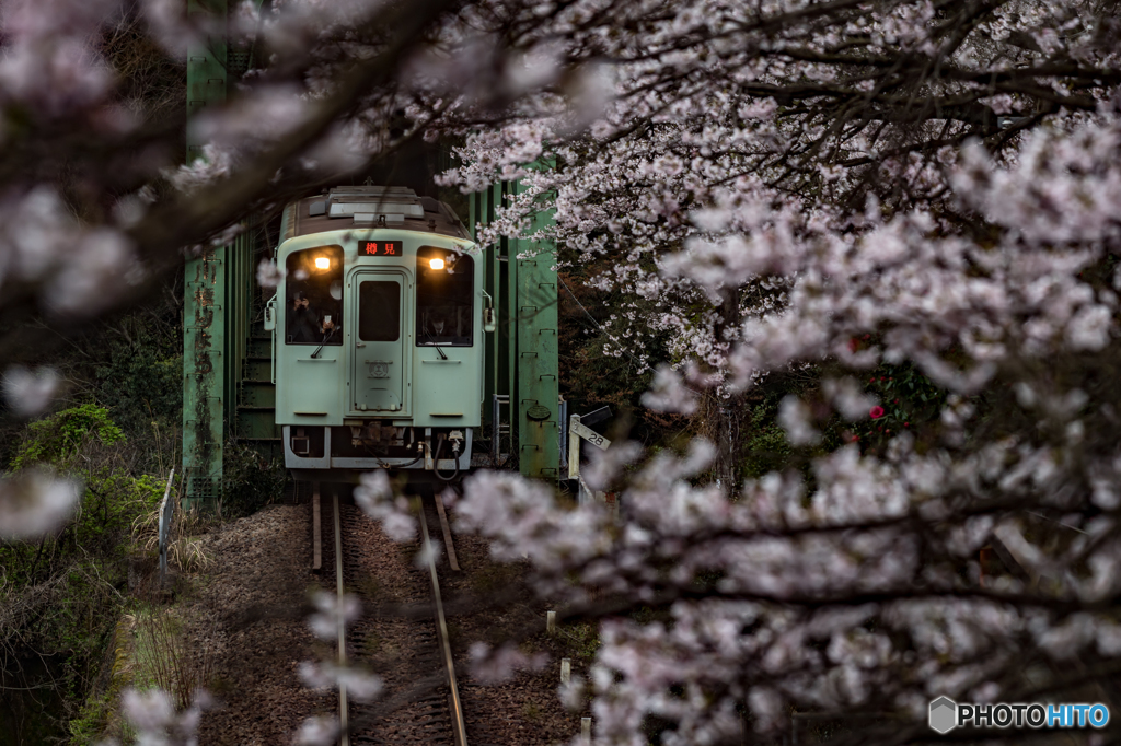 花咲く駅舎④