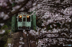 花咲く駅舎④