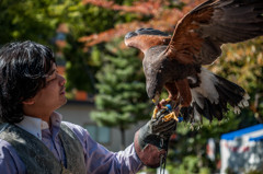 Falconer and Falcon ①