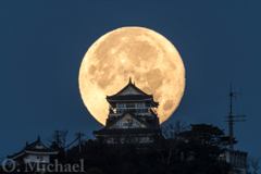 禁猟区