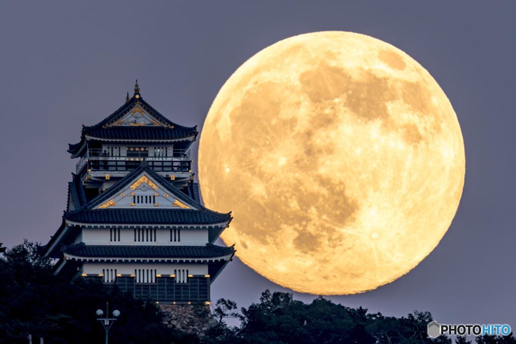 月を追う