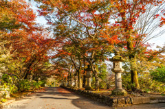 2015/11/24 霊鷺山法華寺 ①