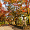2015/11/24 霊鷺山法華寺 ①