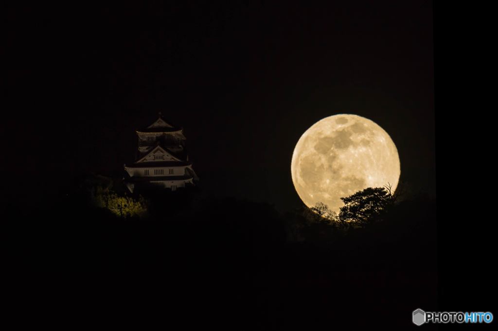 満月と城