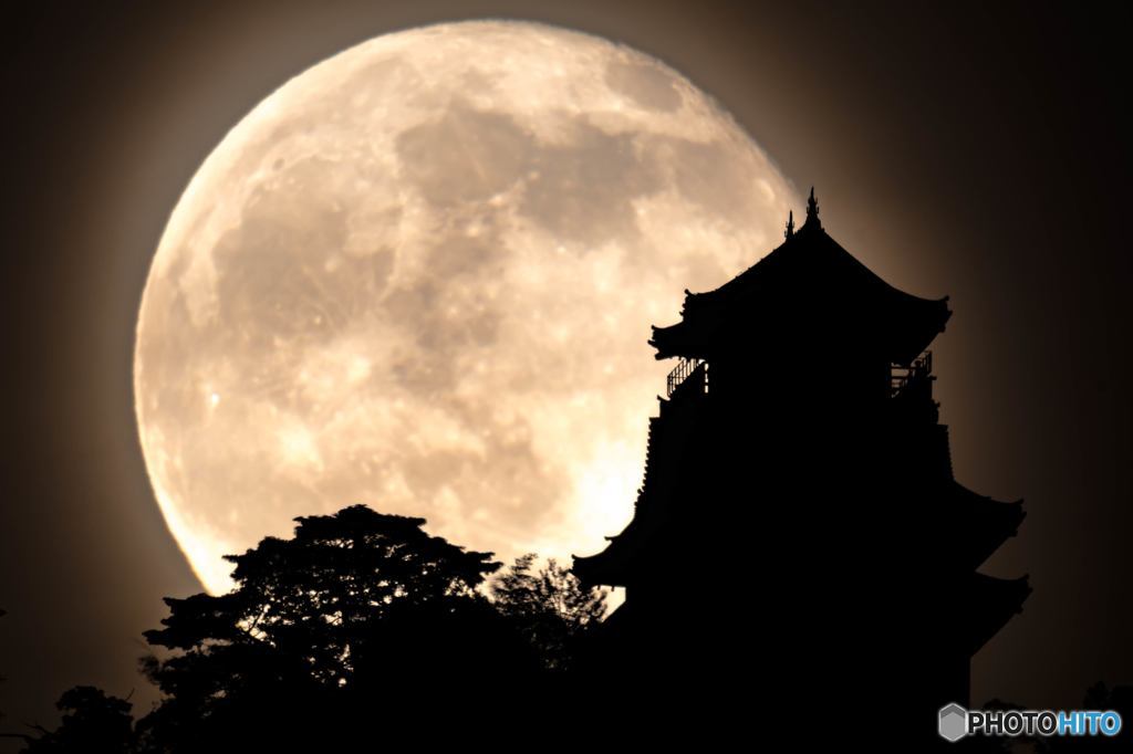 十六夜の月と岐阜城②