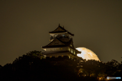 月を追いかける