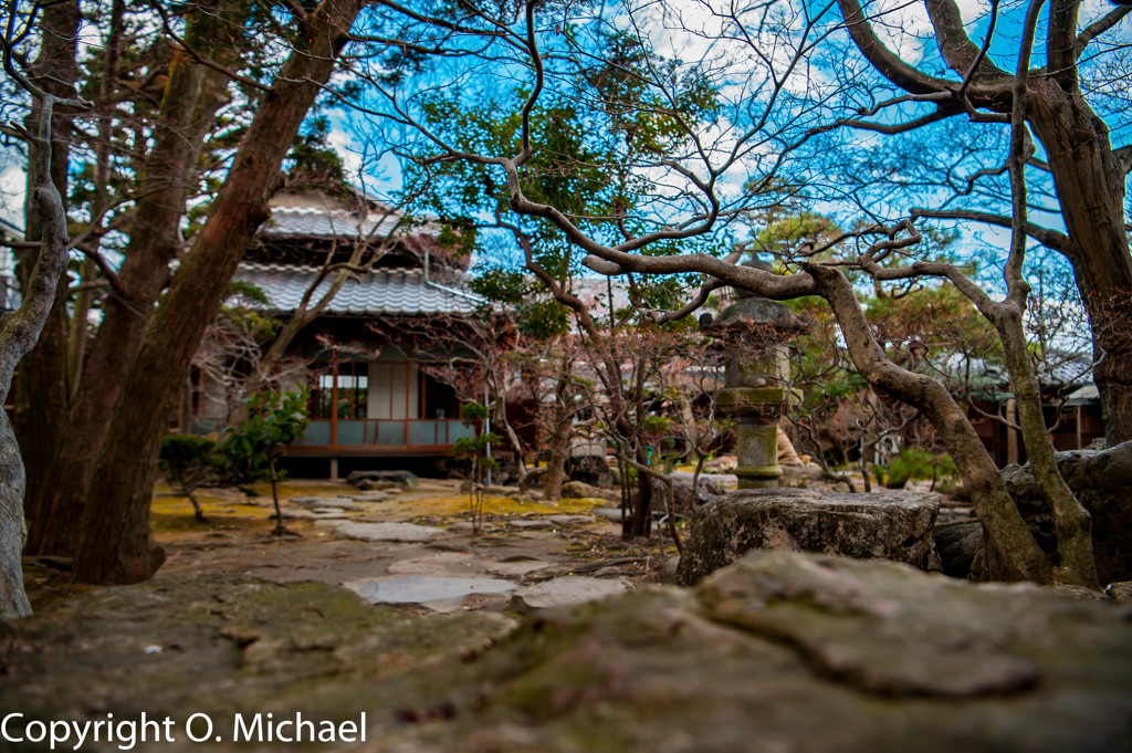 2016/01/10 某家の日本庭園①